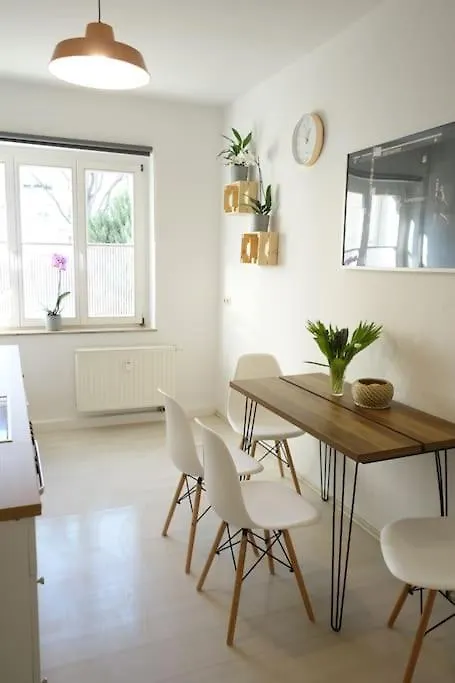 Cosy Apartment With Kitchen&Netflix In Dresden Neustadt