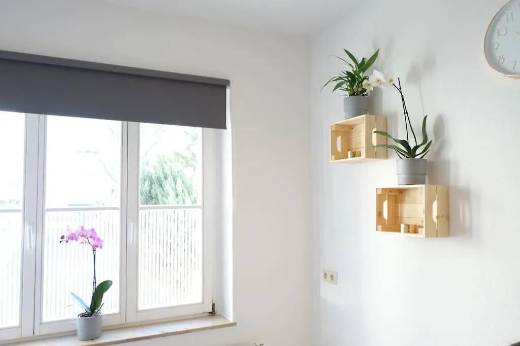 Cosy Apartment With Kitchen&Netflix In Dresden Neustadt